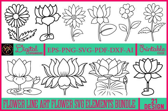 Floral Line Art Graphics for Brand Illustrations