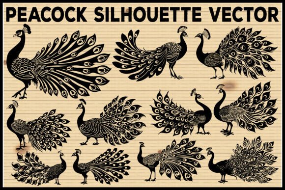 Peacock Silhouette Vector Bundle: Graphics & Illustrations