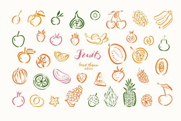Reviewing the Drawn Fruit Sketch Collection Vector